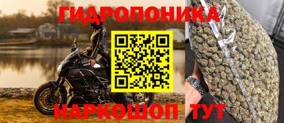 стаф Заволжье
