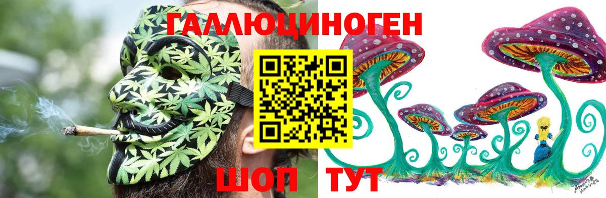 как найти закладки  Псилоцибиновые грибы Psilocybe  Вход с VPN  Кропоткин 